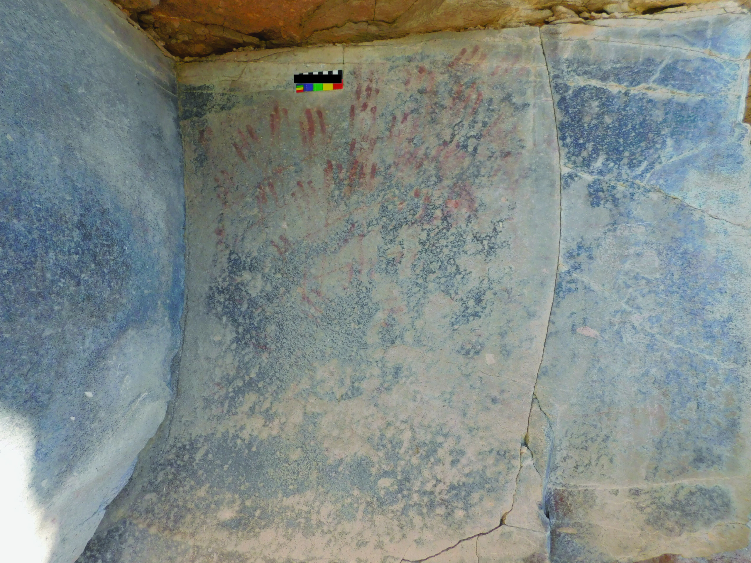 Locus 2 Panel 9 No Enhancement