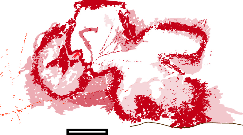 Painted Bluff Mississippian Bird